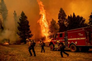 Oak Fire: Εξαπλώνεται γρήγορα η φωτιά στην Καλιφόρνια - Συναγερμός για τη μεγαλύτερη ενεργή πυρκαγιά στις ΗΠΑ