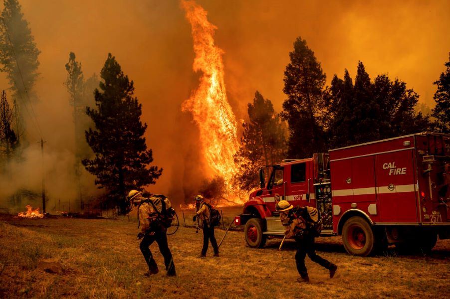 Oak Fire: Εξαπλώνεται γρήγορα η φωτιά στην Καλιφόρνια - Συναγερμός για τη μεγαλύτερη ενεργή πυρκαγιά στις ΗΠΑ