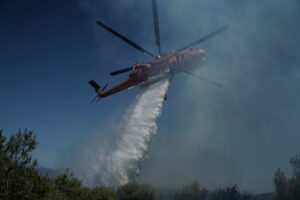 Φωτιά στο Δίστομο Βοιωτίας - Καίγεται δασική έκταση - Κινητοποιήθηκαν επίγειες δυνάμεις και δύο Τράκτορες Τατοΐου