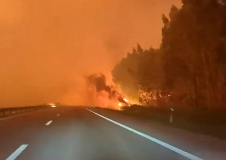 Οι δασικές πυρκαγιές στην Ευρώπη