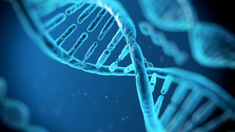 Ούνα φάτσα, ούνο...DNA: Οι άνθρωποι με παρόμοιο πρόσωπο έχουν και παρόμοιο γενετικό υλικό