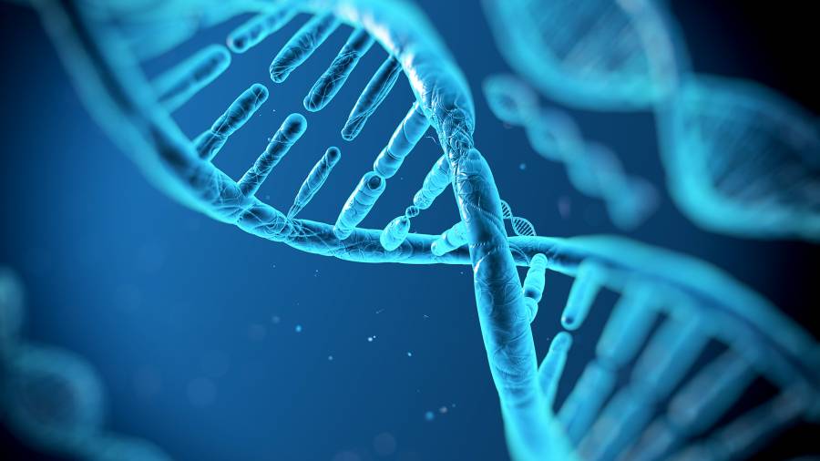 Ούνα φάτσα, ούνο...DNA: Οι άνθρωποι με παρόμοιο πρόσωπο έχουν και παρόμοιο γενετικό υλικό