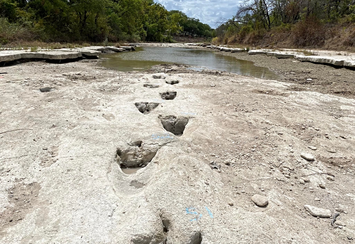 Τέξας: Η ξηρασία αποκάλυψε ίχνη δεινοσαύρων σε κοίτη ποταμού