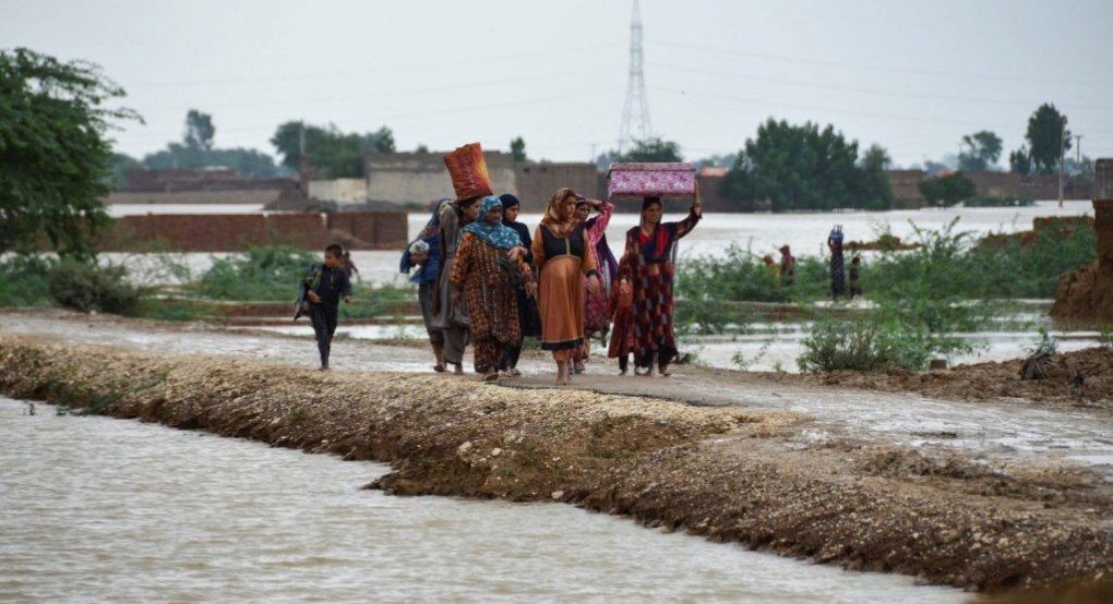 220904201917_pakistan-plimires