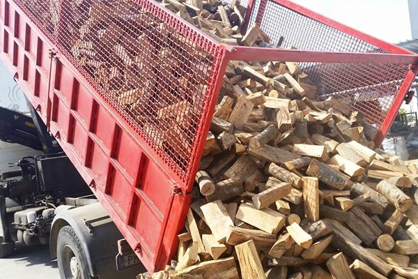 Παρέμβαση στην τιμή των καυσόξυλων και του πέλετ προανήγγειλε ο Αδ. Γεωργιάδης