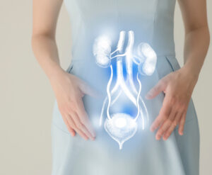 Η Ευρωπαϊκή Εβδομάδα Ουρολογίας (Urology Week 2025, 22-26 Σεπτεμβρίου), είναι φέτος αφιερωμένη στην ευαισθητοποίηση για τις ουρολοιμώξεις με κεντρικό μήνυμα: «Ένα "καυτό" ζήτημα... οι ουρολοιμώξεις». Η Ελληνική Ουρολογική Εταιρεία (ΕΟΕ), συμμετέχει ενεργά στην πανευρωπαϊκή εκστρατεία ευαισθητοποίησης που διοργανώνει η Ευρωπαϊκή Ουρολογική Εταιρεία (EAU), καθώς αναδύεται η ανάγκη να αντιμετωπιστεί με σοβαρότητα ένα από τα πιο συχνά αλλά και υποτιμημένα προβλήματα υγείας με την ανάπτυξη αποτελεσματικών στρατηγικών πρόληψης και θεραπείας. Οι ουρολοιμώξεις κατατάσσονται δεύτερες σε συχνότητα μετά τις αναπνευστικές λοιμώξεις και εμφανίζονται σημαντικά συχνότερα στις γυναίκες σε σύγκριση με τους άνδρες. Υπολογίζεται ότι περίπου το 50%-60% των γυναικών θα παρουσιάσει τουλάχιστον ένα επεισόδιο ουρολοίμωξης στη διάρκεια της ζωής του. Επίσης, σύμφωνα με τη διεθνή έρευνα που πραγματοποιήθηκε εφέτος σε περίπου 3.000 άτομα από χώρες όπως Ηνωμένο Βασίλειο, Γαλλία, Γερμανία, Ιταλία, Ισπανία, με σκοπό να αξιολογηθεί η γνώση του κοινού για τις ουρολοιμώξεις, προκύπτει ότι υπάρχει έλλειψη ενημέρωσης και πολλά ταμπού γύρω από τα συμπτώματα, τη διάγνωση και την πρόληψη των ουρολοιμώξεων, γεγονός που συχνά καθυστερεί την κατάλληλη αντιμετώπιση. Ο γενικός γραμματέας της Ελληνικής Ουρολογικής Εταιρείας, Χαράλαμπος Θωμάς, υπογραμμίζει: «Οι ουρολοιμώξεις είναι ένα συχνό, αλλά συχνά υποτιμημένο πρόβλημα υγείας. Στόχος μας φέτος, μέσα από την Ευρωπαϊκή Εβδομάδα Ουρολογίας είναι να ενημερώσουμε τους πολίτες ώστε να αναγνωρίζουν έγκαιρα τα συμπτώματα, να ζητούν ιατρική συμβουλή χωρίς καθυστέρηση και να ακολουθούν τις επιστημονικές οδηγίες. Παράλληλα, θέλουμε να αναδείξουμε τη σημασία της ορθής χρήσης των αντιβιοτικών, καθώς η μικροβιακή αντοχή αποτελεί μια σιωπηλή απειλή για την κοινωνία. Η Ελληνική Ουρολογική Εταιρεία θα συνεχίσει να συμβάλλει ενεργά στην πρόληψη, τη διάγνωση και την ενημέρωση για όλες τις ουρολογικές παθήσεις». Οι ουρολοιμώξεις επηρεάζουν παγκοσμίως, εκατομμύρια ανθρώπους κάθε χρόνο και αποτελούν μία από τις συχνότερες αιτίες αναζήτησης ιατρικής φροντίδας. Αντιστοιχούν δε περίπου στο 1%-5% των επισκέψεων στην πρωτοβάθμια περίθαλψη. Με βάση αυτά τα στοιχεία, οι ουρολοιμώξεις είναι ένα μείζον ζήτημα δημόσιας υγείας λόγω της υψηλής τους επίπτωσης και της νοσηρότητας που προκαλούν. Το οικονομικό τους βάρος είναι επίσης τεράστιο, καθώς οι ουρολοιμώξεις κοστίζουν ετησίως δισεκατομμύρια ευρώ στα συστήματα υγείας. Επιτακτική είναι συνεπώς η ανάγκη για υπεύθυνη χρήση των αντιβιοτικών και για εφαρμογή των πλέον πρόσφατων επιστημονικών οδηγιών. Στο πλαίσιο αυτό, οι κατευθυντήριες οδηγίες της EAU για το 2025 παρουσιάζουν σημαντικές αλλαγές. Εισάγεται μια νέα ταξινόμηση των ουρολοιμώξεων, η οποία μετακινείται από το παραδοσιακό σχήμα «απλές /επιπλεγμένες» στην κατηγοριοποίηση «εντοπισμένες /συστηματικές». Η έννοια των επιπλεγμένων ουρολοιμώξεων είχε καθιερωθεί ήδη από το 1963 και αναθεωρήθηκε το 1992 από την Infectious Diseases Society of America (IDSA) και την European Society of Clinical Microbiology and Infectious Diseases (ESCMID). Σήμερα, η νέα διάκριση σε εντοπισμένες και συστηματικές λοιμώξεις αντανακλά με μεγαλύτερη σαφήνεια την κλινική εικόνα, διευκολύνοντας τόσο τη διάγνωση όσο και την επιλογή της κατάλληλης θεραπείας. Παράλληλα, προστέθηκαν νέες κατευθύνσεις για μη αντιβιοτικές θεραπείες στην κυστίτιδα, για την ανοσοτροποποιητική προφύλαξη σε περιπτώσεις υποτροπιαζουσών ουρολοιμώξεων, καθώς και για λοιμώξεις του προστάτη, της ουρήθρας και την οξεία επιδιδυμίτιδα, ενώ αναθεωρήθηκαν οι δοσολογίες αντιβιοτικών με στόχο την αντιμετώπιση της μικροβιακής αντοχής. Η Ελληνική Ουρολογική Εταιρεία απευθύνει έκκληση προς όλους τους πολίτες να αναγνωρίζουν τα συμπτώματα των ουρολοιμώξεων - όπως το αίσθημα καψίματος κατά την ούρηση, η συχνουρία, η επιτακτική ανάγκη για ούρηση, ο πόνος χαμηλά στην κοιλιά ή στη μέση, καθώς και τα θολά ή δύσοσμα ούρα -και να επισκέπτονται έγκαιρα τον ουρολόγο τους όταν αυτά εμφανίζονται. Η έγκαιρη διάγνωση και η σωστή θεραπεία είναι καθοριστικές για την αποφυγή επιπλοκών. Η πρόληψη, η σωστή ενημέρωση και η υπεύθυνη ιατρική πρακτική αποτελούν το «κλειδί» για την αποτελεσματική αντιμετώπιση αυτού του τόσο διαδεδομένου προβλήματος υγείας.