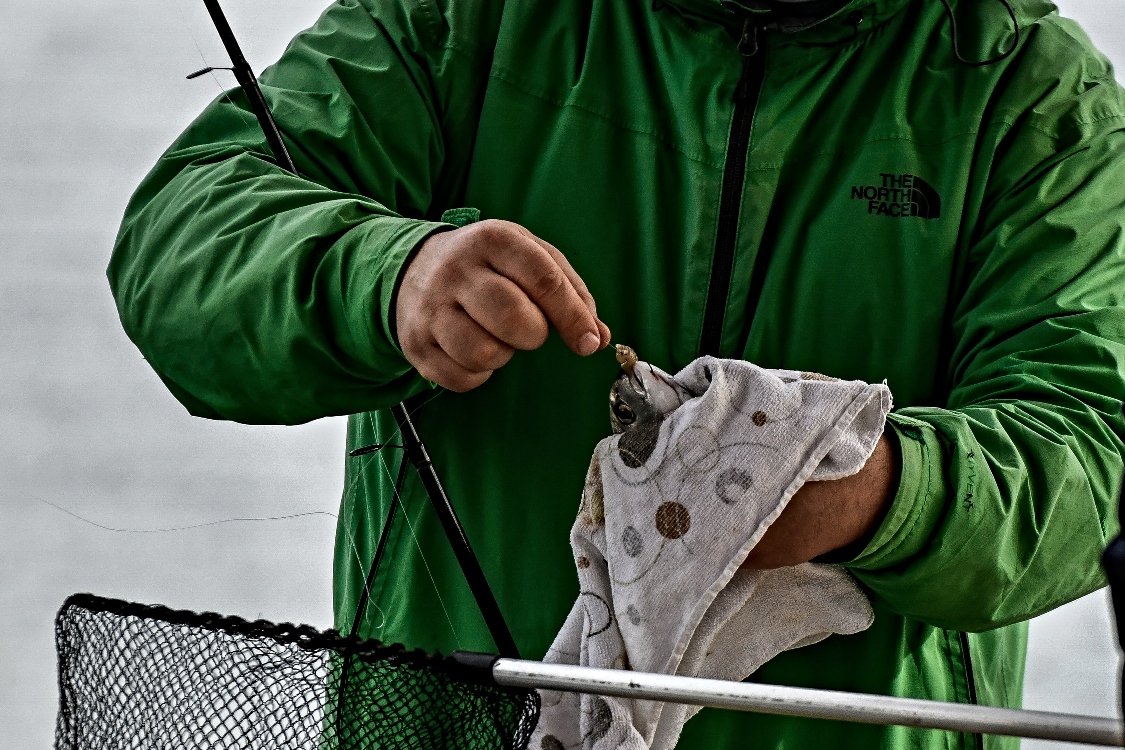 Καθολική απαγόρευση της αλιείας στη Γυάρο για τα επόμενα δύο χρόνια