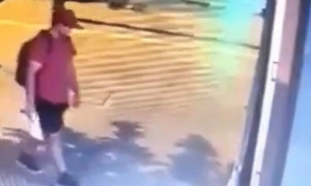Επικήρυξαν με €3.000 τον άγνωστο που ποδοπάτησε μέχρι θανάτου ένα γατάκι
