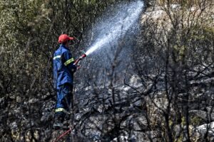 Φωτιά τώρα σε δασική έκταση του Μαραθώνα, δεν απειλεί κατοικημένη περιοχή