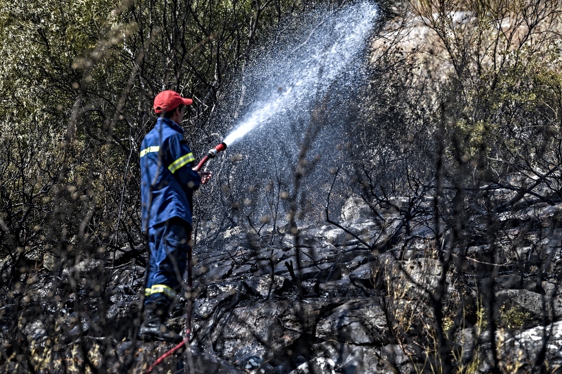 Φωτιά τώρα σε δασική έκταση του Μαραθώνα, δεν απειλεί κατοικημένη περιοχή