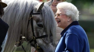 Βασιλιάς Κάρολος Γ' :Πουλάει τα 12 άλογα κούρσας της Ελισάβετ