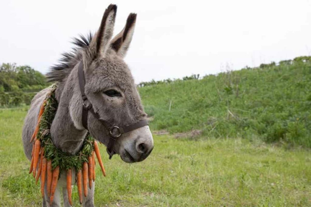 Oι νέες ταινίες της εβδομάδας, 20-26 Οκτωβρίου