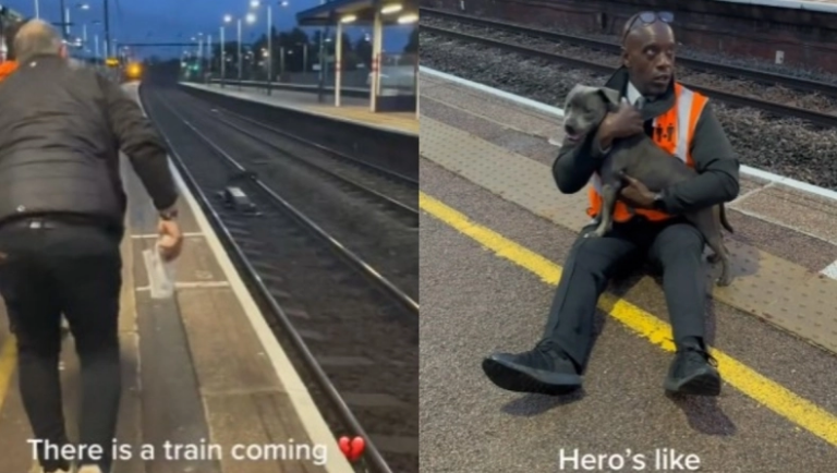 Εργάτης σώζει παγιδευμένο σκυλάκι από τις ράγες του τρένου - Δείτε το συγκινητικό βίντεο
