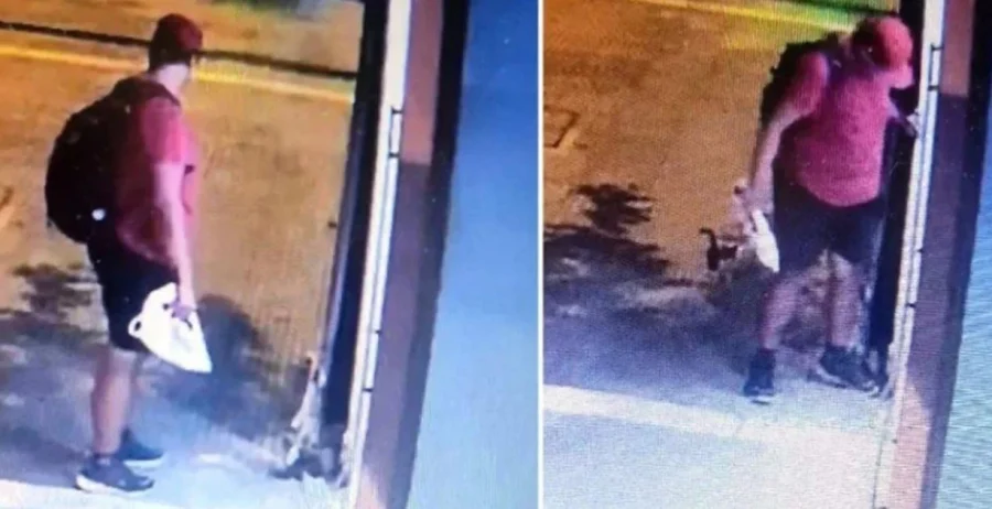 Εως και δέκα χρόνια φυλάκιση για τον διδάκτορα του ΑΠΘ που σκότωσε με το πόδι του νεογέννητο γατάκι