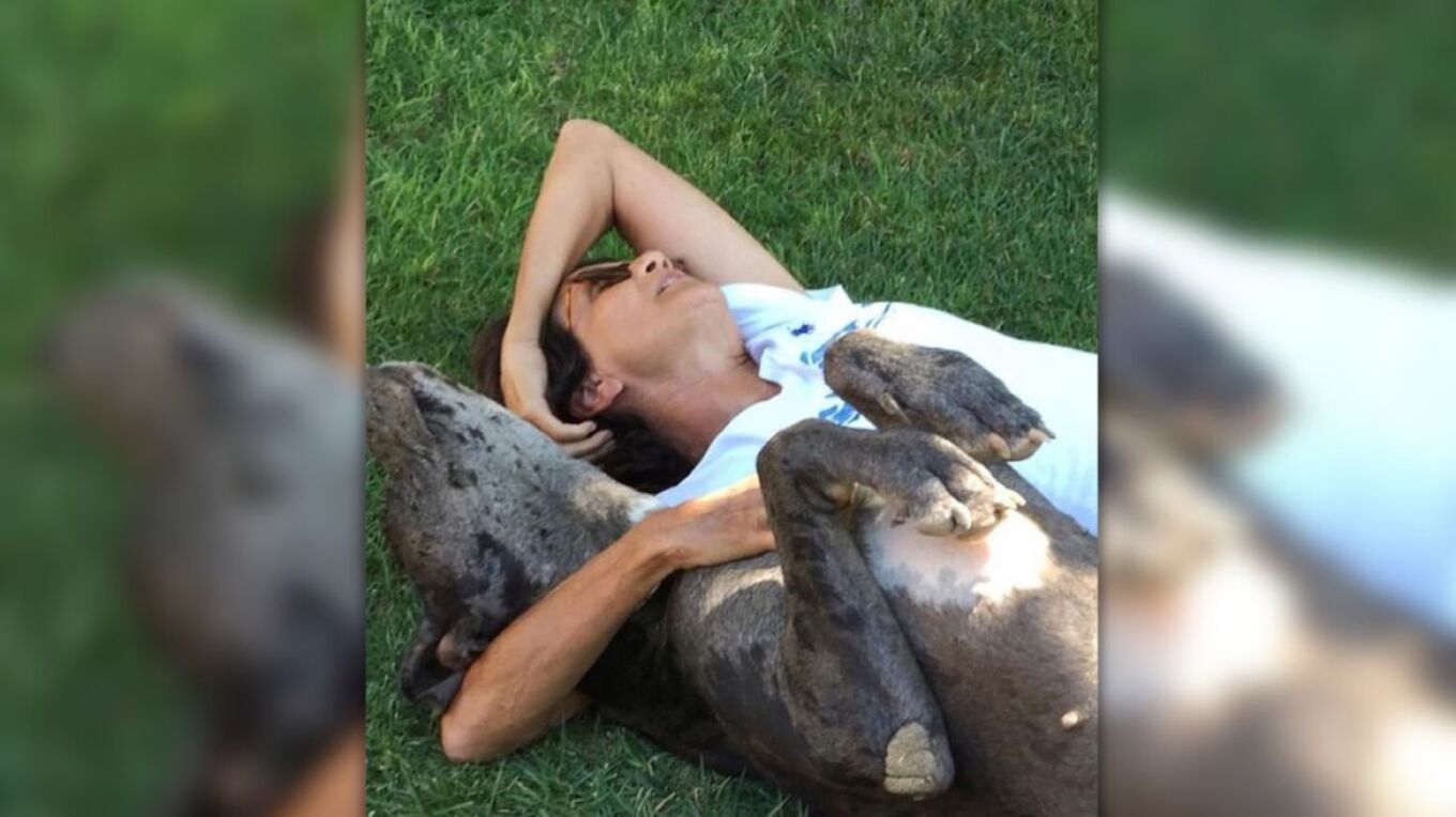 Άλκηστις Πρωτοψάλτη: Έκανε συγκινητική ανάρτηση για το σκυλάκι της που πέθανε