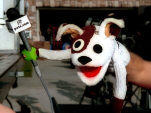 Το διασημότερο φιάσκο του επιχειρείν: Πώς να χάσεις 300 εκατ. δολάρια σε 268 μέρες