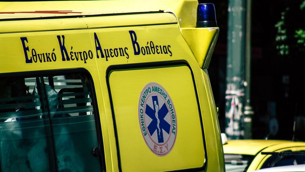 Εύβοια: Σμήνος μελισσών επιτέθηκε σε 12χρονο αγόρι στη Χαλκίδα - Υπέστη αλλεργικό σοκ