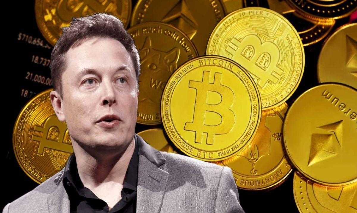 221114172328_Elon-Musk-Bitcoin