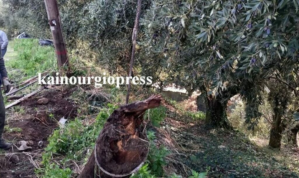 Αιτωλοακαρνανία: Αυτοκίνητο έκοψε κολώνα της Δ.Ε.Η.