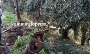 Αιτωλοακαρνανία: Αυτοκίνητο έκοψε κολώνα της Δ.Ε.Η.