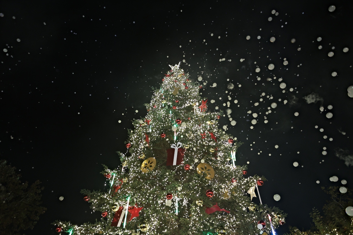 Χριστουγεννιάτικο δέντρο, Σύνταγμα.