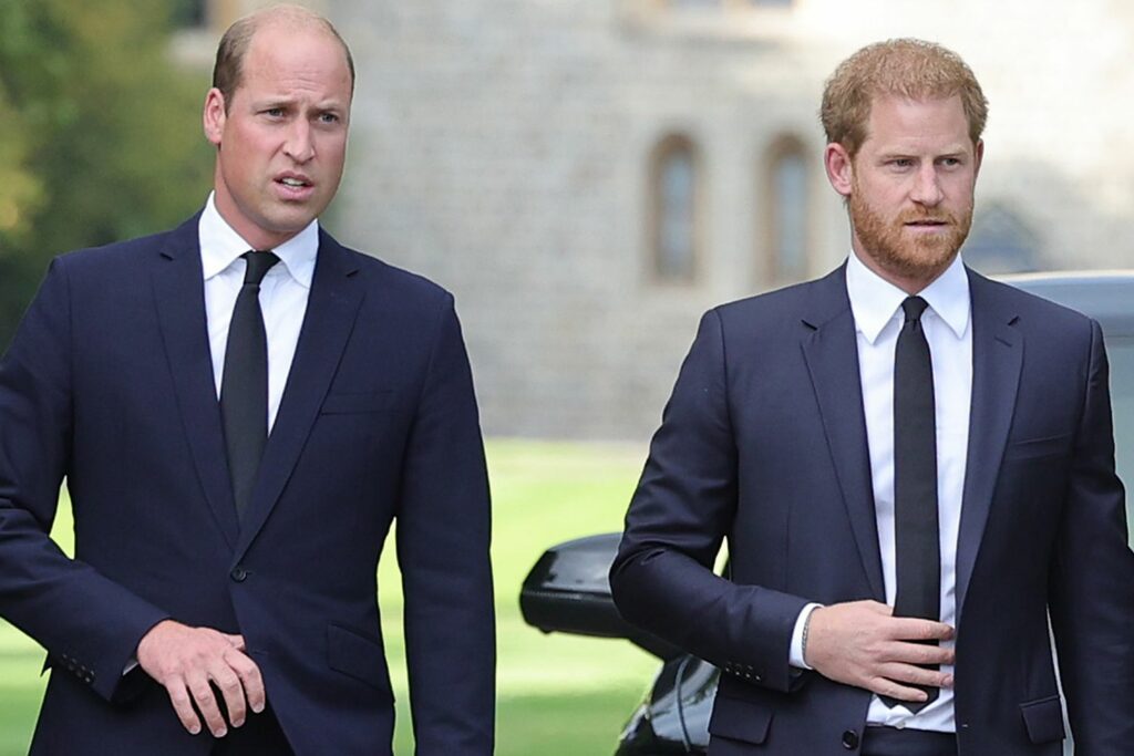 princewilliamprinceharry.jpg
