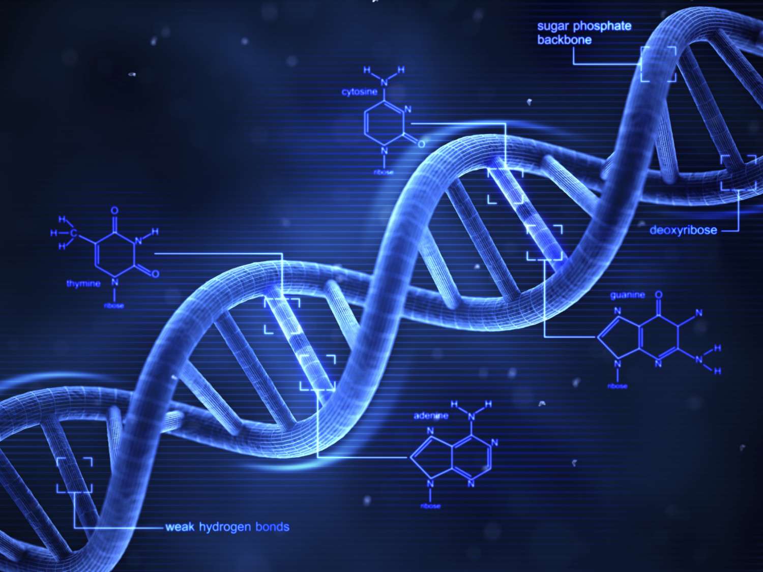 Νέα επιστημονική μελέτη επιβεβαιώνει την αέναη εξέλιξη του ανθρώπινου DNA