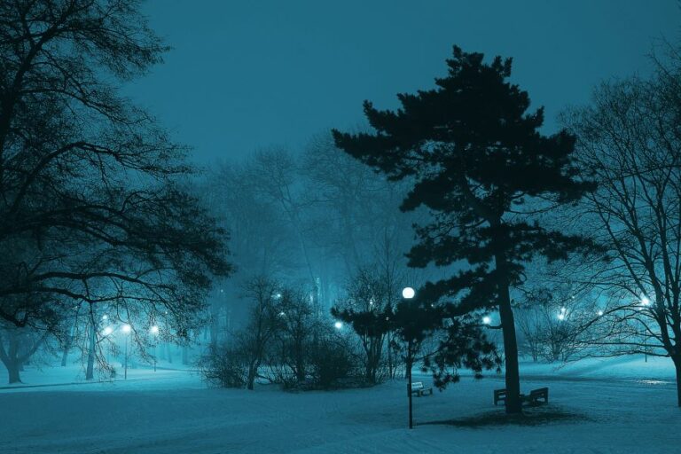 Χειμερινό ηλιοστάσιο: Αύριο η μεγαλύτερη νύχτα του χρόνου - Ξεκινά επίσημα ο χειμώνας