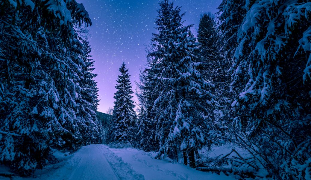 Χειμερινό ηλιοστάσιο: Αύριο η μεγαλύτερη νύχτα του χρόνου - Ξεκινά επίσημα ο χειμώνας