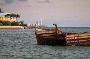 ΗΠΑ: Kλείνει προσωρινά εθνικό πάρκο στη Φλόριντα, λόγω άφιξης μεγάλου αριθμού μεταναστών από Κούβα