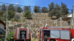 Φυλή: Άνδρας έπεσε σε χαράδρα, μεγάλη επιχείρηση της Πυροσβεστικής