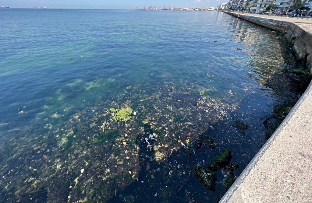 Θερμαϊκός.