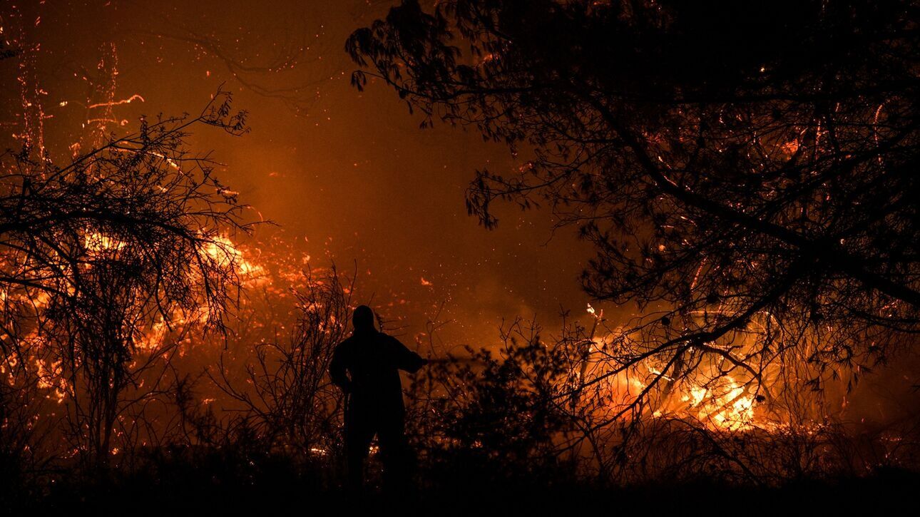 Ψαχνά: Μεγάλη οικολογική ζημιά από τη πυρκαγιά