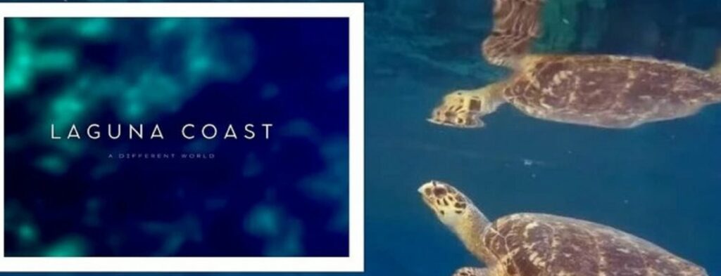 Laguna Coast Foundation: Ο οδικός χάρτης για το μεγαλύτερο έργο ανάπλασης στην νησιωτική Ελλάδα