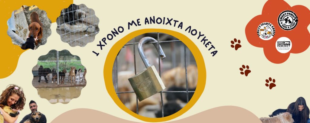 Στο Καταφύγιο Αδέσποτων Ζώων του Δήμου Σπάρτης γιορτάζουν την Κυριακή «ένα χρόνο με ανοιχτά λουκέτα»