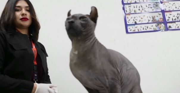 230224075911_gata