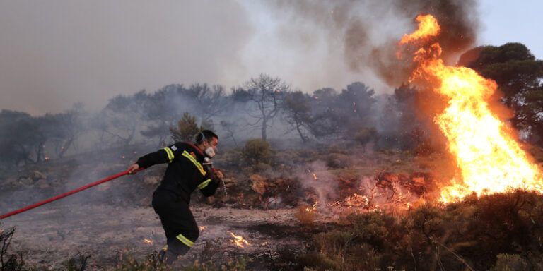 Αχαΐα: Δύο φωτιές σε αγροτοδασικές εκτάσεις