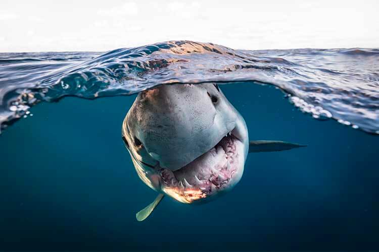230217085145_upy-2022-british-photographer-of-the-year-matty-smith