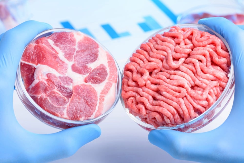 230329181235_cellcultured_meat