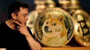 Kabosu: Ποιο είναι το σκυλί – μασκότ του Dogecoin