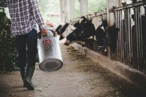 Γαλακτοβιομηχανίες: Με αφανισμό παραγωγής απειλούνται οι αιγοπροβατοτρόφοι