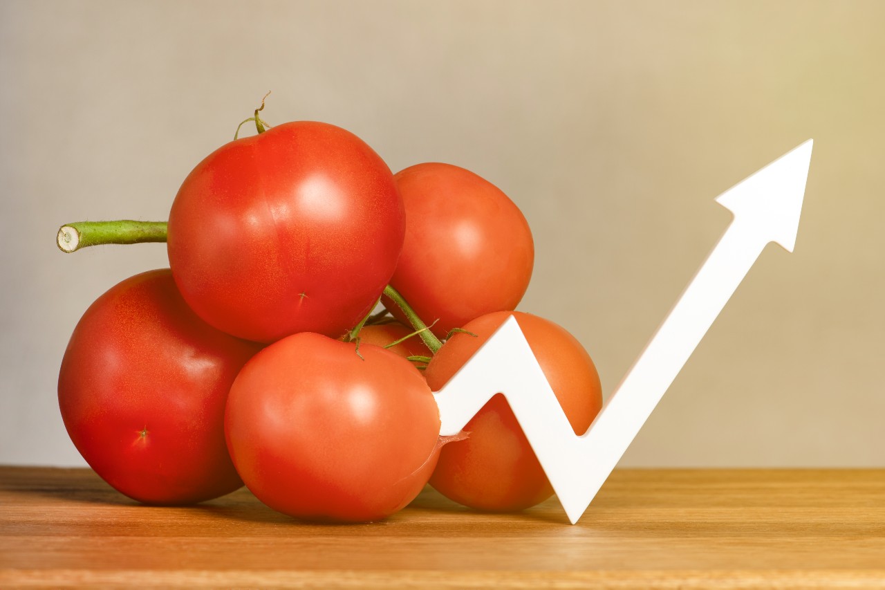 Ο πληθωρισμός έπεσε, αλλά οι τιμές στα τρόφιμα και στις μεταφορές παραμένουν εκτός ελέγχου