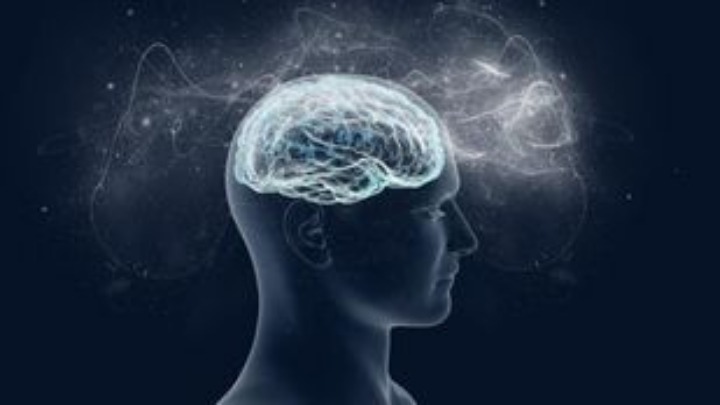 230518174414_brain