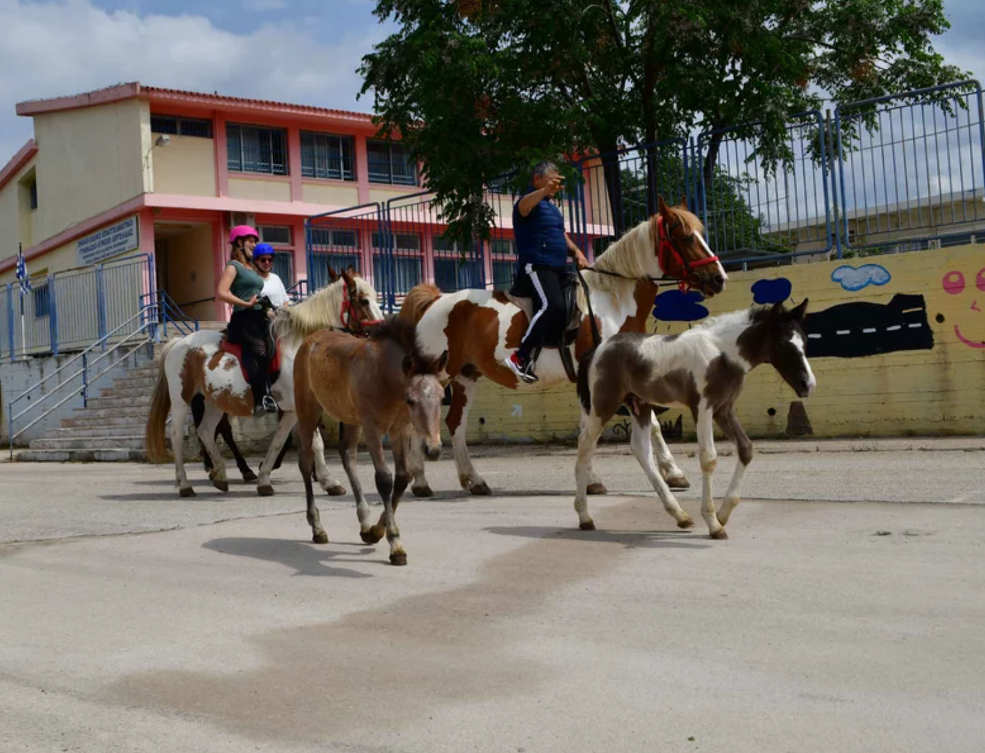 Στο Ναύπλιο ένας αγρότης αποφάσισε να ψηφίσει πηγαίνοντας μαζί με άλογα και γαϊδούρια στο εκλογικό κέντρο.