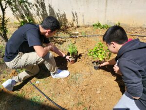 Συνεταιριστική Τράπεζα Χανίων: Εγκαινιάζει το πρόγραμμα «Green School by Τράπεζα Χανίων»
