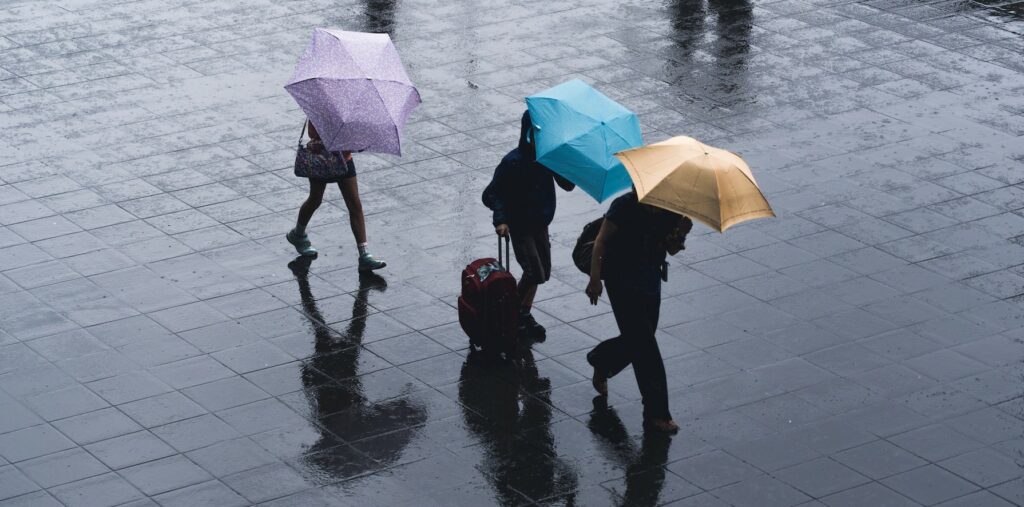 230601175313_rainy2