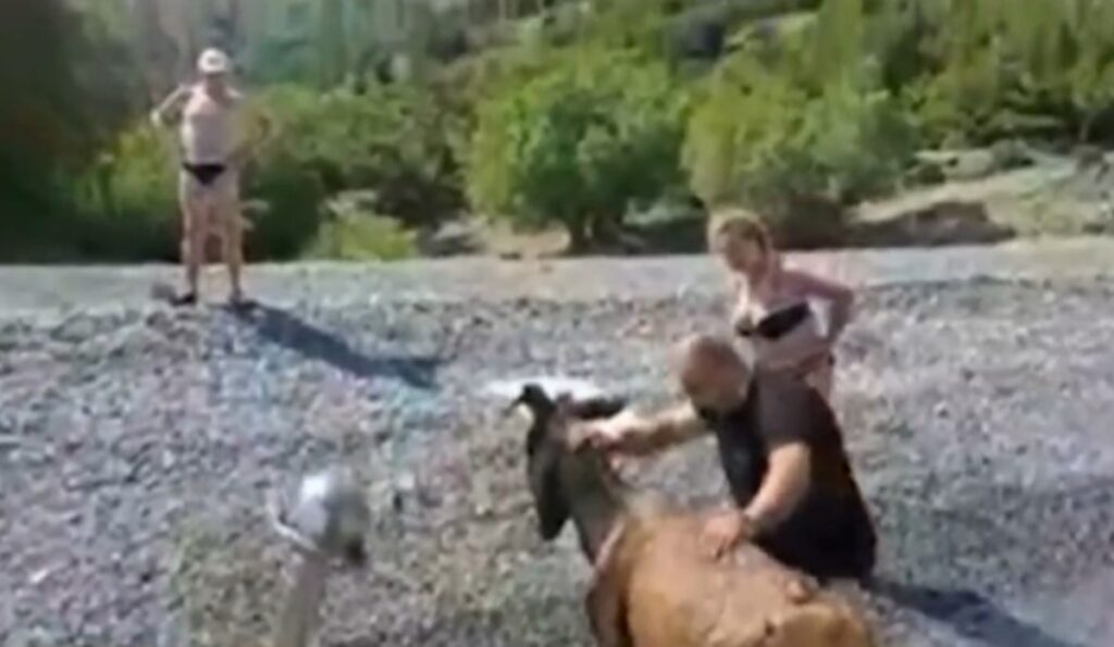 230607084540_karpathos