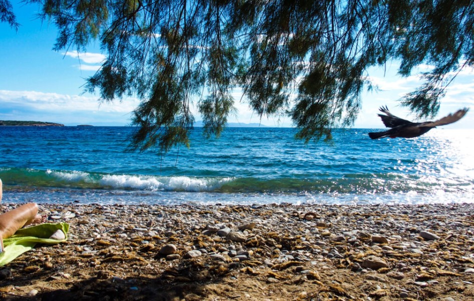 230609091618_paralia