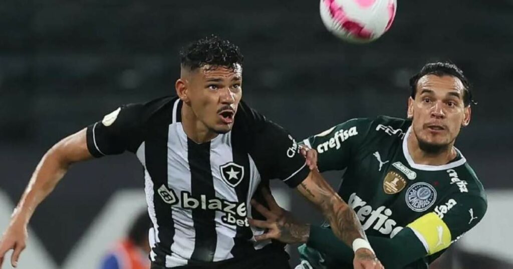 230623110422_palmeiras