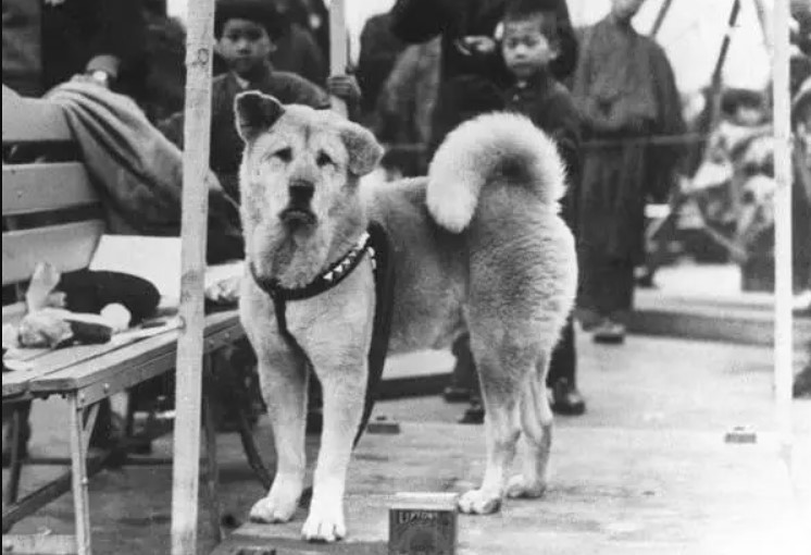 230703101433_hatsiko